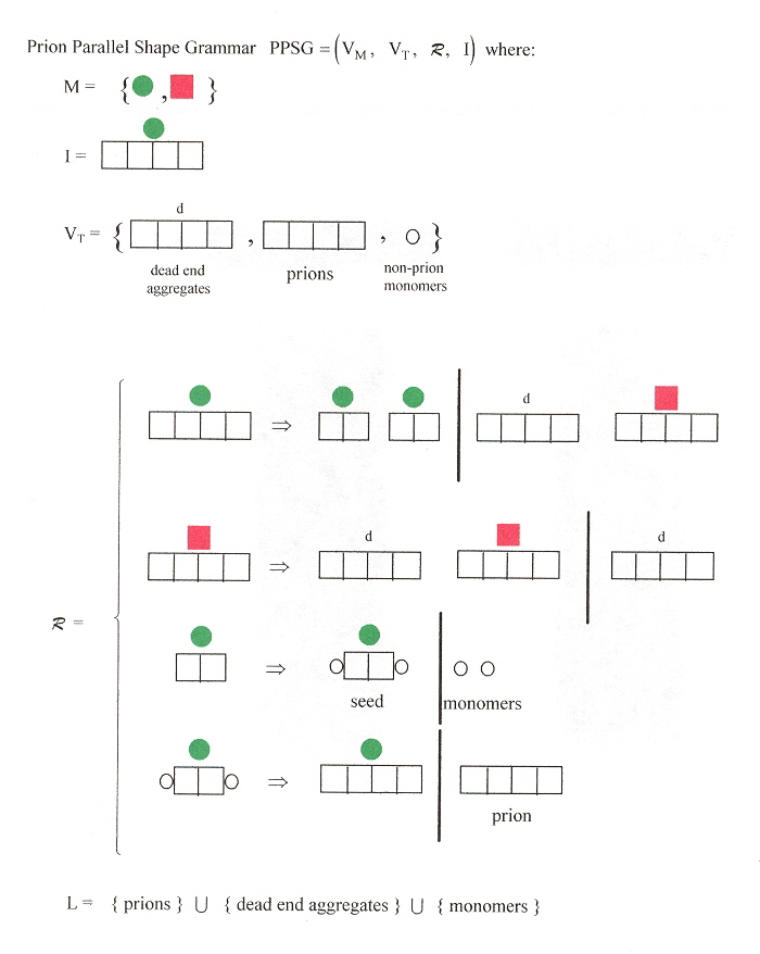 A Prion Parallel Shape Grammar